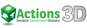 Actions3d
