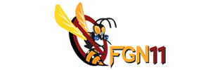FGN 11