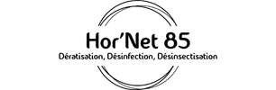 Hor'Net 85